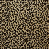 Kane CarpetNew Leopard